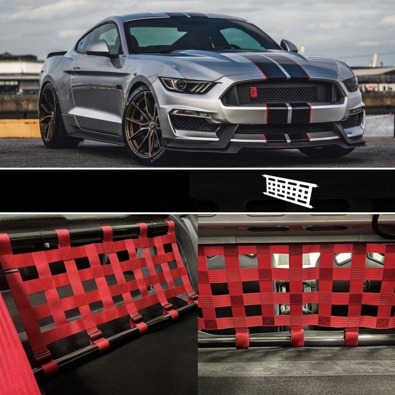 Clubsport Set V2 - Doppelstrebe mit Netz für Ford Mustang GT Gen. 6